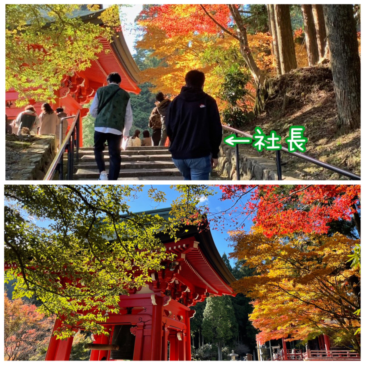 紅葉の季節ですね🍁