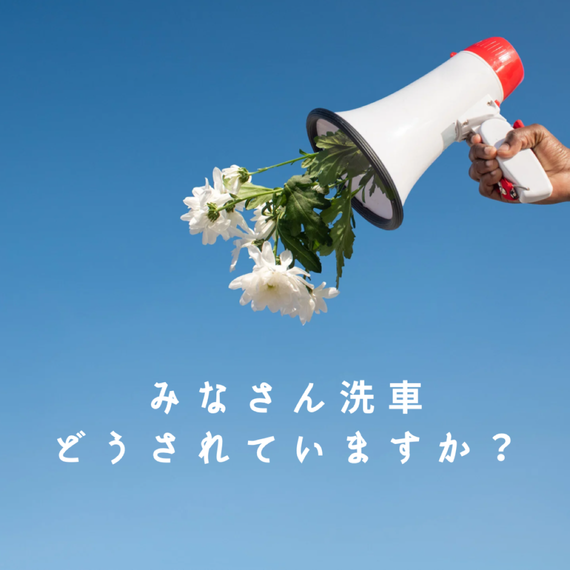 洗車、皆さんどうやってされていますか？🧼