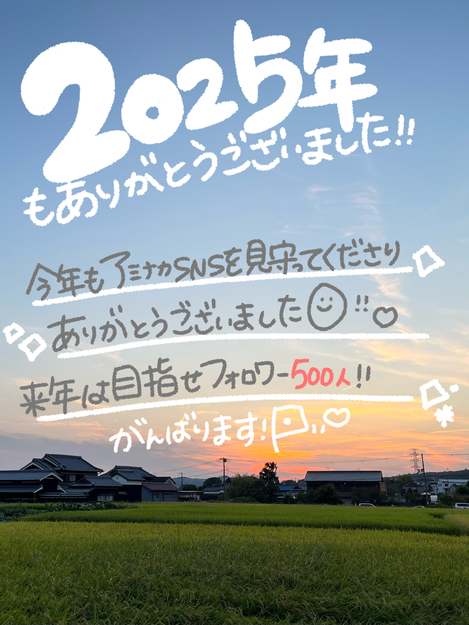 2025年もアミナカのブログをご愛読いただきありがとうございました✨
